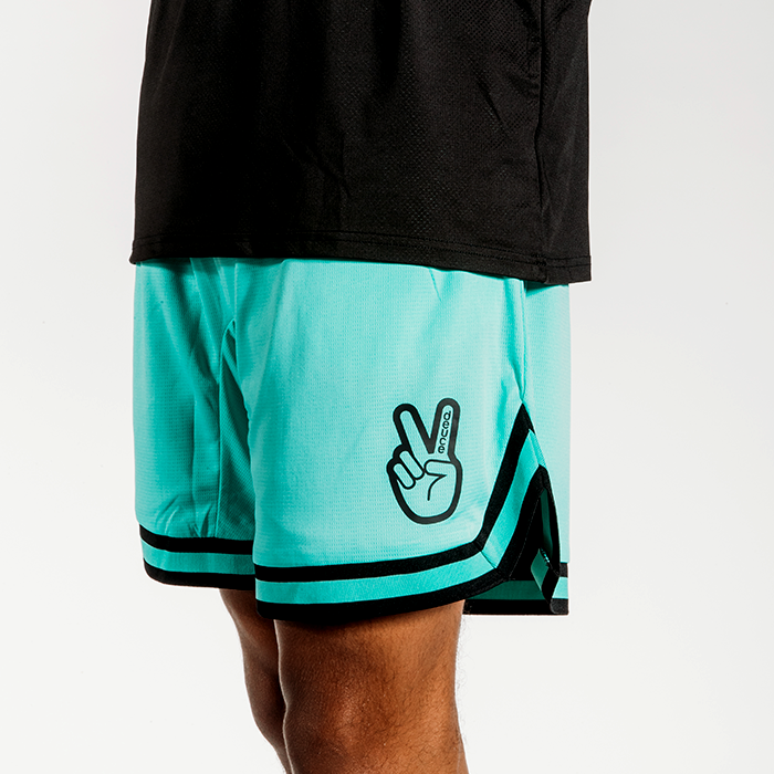 Deuce brand basketball vibe shorts mint